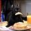 cryptobunny_jkvlx